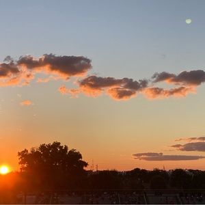 Meet your Posher, Bailey